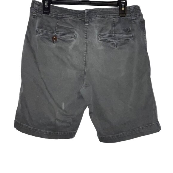 American Eagle Outfitters Mens Active Flex Classic Shorts Size 30 Gray - Picture 4 of 5